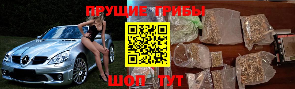 цена   Вход с VPN  Псилоцибиновые грибы GOLDEN TEACHER  Иваново  Галлюциногенные грибы мицелий 